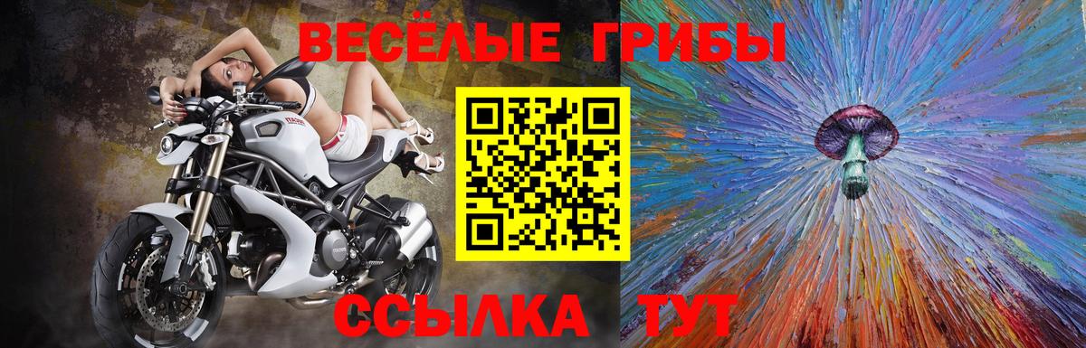 Галлюциногенные грибы MAGIC MUSHROOMS  Галлюциногенные грибы Psilocybine cubensis  Вход с VPN  Россошь 